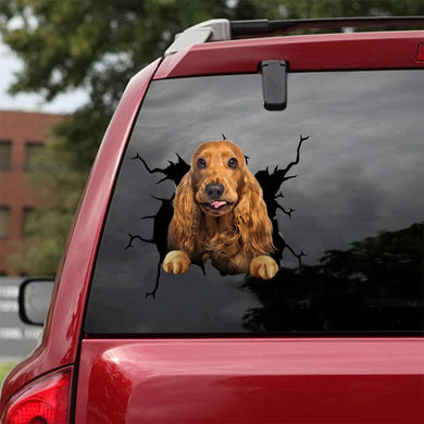 [da0863-snf-tnt]-cocker-spaniel-crack-car-sticker-dogs-lover