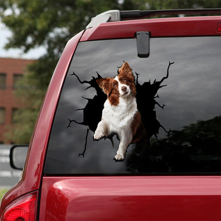 Border Collie Crack Sticker Kawaii Funny Pictures Black And White Stickers Gifts For Mom From Daughter