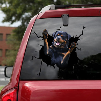 [ld0037-snf-lad]-rottweiler-crack-car-sticker-dogs-lover