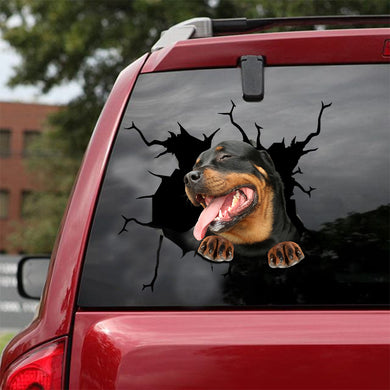 [ld0040-snf-lad]-rottweiler-crack-car-sticker-dogs-lover