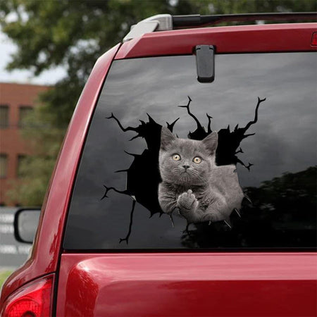 Funny Cats Crack Decal For Boat Likeable Friendship Stickers Memorial Gifts
