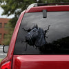 [th0041-snf-tpa]-black-horse-crack-car-sticker-horse-lover