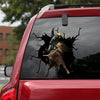[ld0070-snf-lad]-bull-riding-crack-car-sticker-