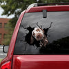 [sk0957-snf-lad]-dalmatian-crack-sticker-dogs-lover