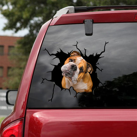[sk0963-snf-lad]-funny-english-bulldog-crack-sticker-dogs-lover