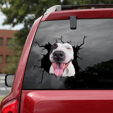 [sk0961-snf-lad]-funny-pitbull-crack-sticker-dogs-lover