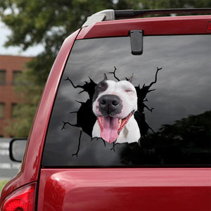 [sk0961-snf-lad]-funny-pitbull-crack-sticker-dogs-lover