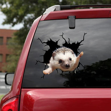 [bv0053-snf-lad]-hedgehog-crack-car-sticker-hedgehog-lover