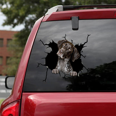 [bv0035-snf-tpa]-german-shorthaired-pointer-crack-car-sticker-dogs-lover