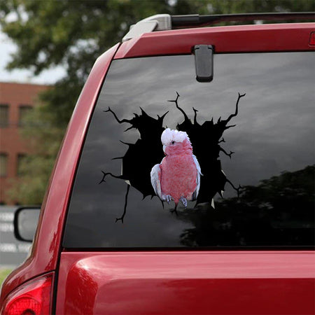 [bv0052-snf-tnt]-parrot-crack-car-sticker-parrot-lover