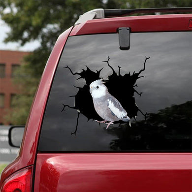 [bv0051-snf-tnt]-parrot-crack-car-sticker-parrot-lover