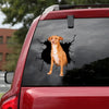 [ld1019-snf-lad]-podenco-crack-car-sticker-dogs-lover