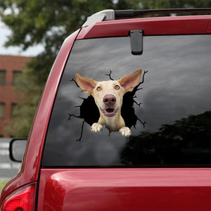 [ld1023-snf-lad]-podenco-crack-car-sticker-dogs-lover