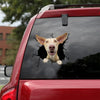 [ld1023-snf-lad]-podenco-crack-car-sticker-dogs-lover