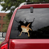 [th0172-snf-tpa]-bearded-dragon-crack-car-sticker-animals-lover