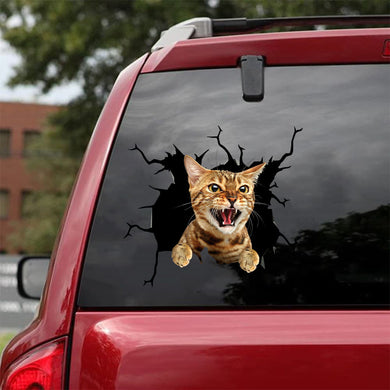 [da0494-snf-tnt]-bengal-cat-crack-car-sticker-cats-lover
