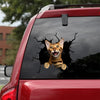 [da0495-snf-tnt]-bengal-cat-crack-car-sticker-cats-lover