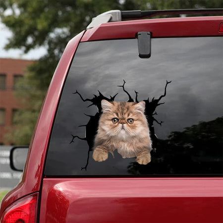[da0504-snf-tnt]-persian-cat-crack-car-sticker-cats-lover