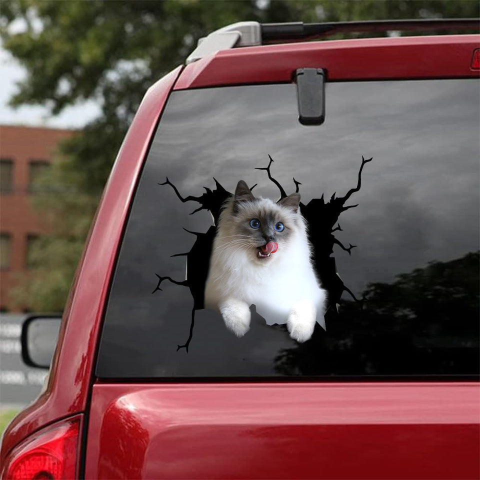 [da0486-snf-tnt]-ragdoll-cat-crack-car-sticker-cats-lover