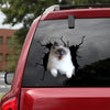 [da0486-snf-tnt]-ragdoll-cat-crack-car-sticker-cats-lover