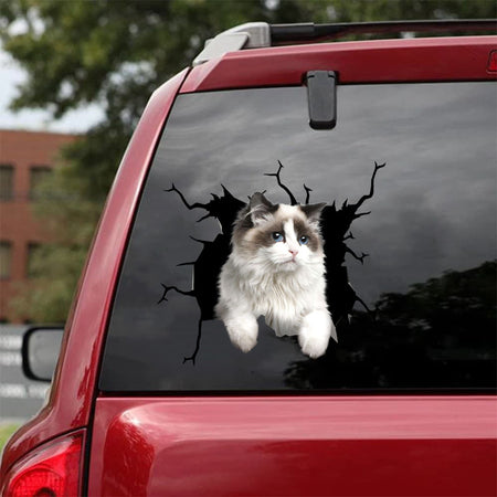 [da0487-snf-tnt]-ragdoll-cat-crack-car-sticker-cats-lover