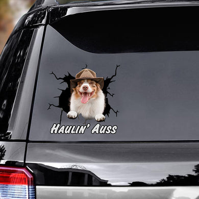 australian-shepherd-vinyls-car-decals,-window-decals-car,-gift-for-car,-dogs-decals-lover,-gift-idea