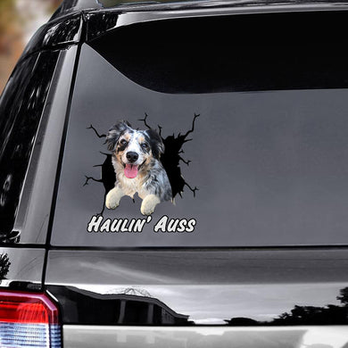 australian-shepherd-crack-car-decals,-window-decals-car,-car-decoration,-dogs-decals-lover,-gift-idea
