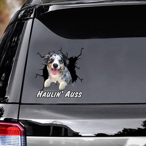 australian-shepherd-crack-car-decals,-window-decals-car,-car-decoration,-dogs-decals-lover,-gift-idea