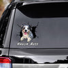 australian-shepherd-crack-car-decals,-window-decals-car,-car-decoration,-dogs-decals-lover,-gift-idea