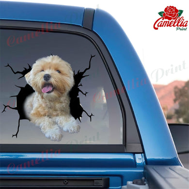 Havanese Crack Decal Sticker Car Pretty Stickers Birthday Gifts For Her