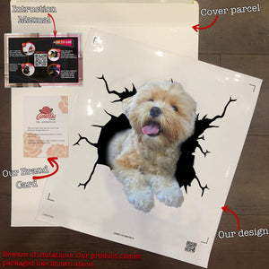 Havanese Crack Decal Sticker Car Pretty Stickers Birthday Gifts For Her