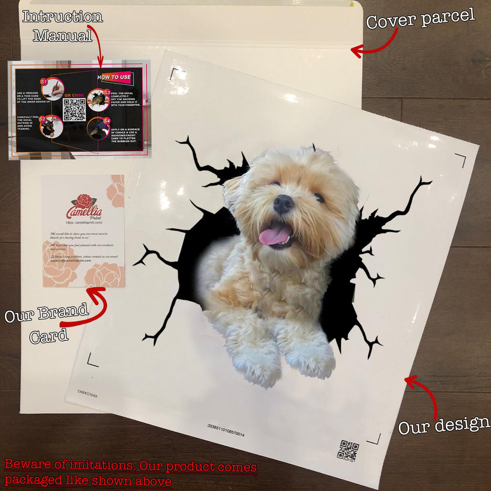 Havanese Crack Decal Sticker Car Pretty Stickers Birthday Gifts For Her