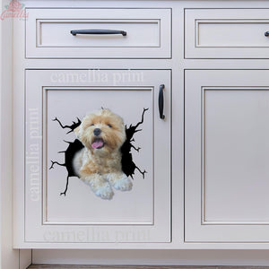 Havanese Crack Decal Sticker Car Pretty Stickers Birthday Gifts For Her