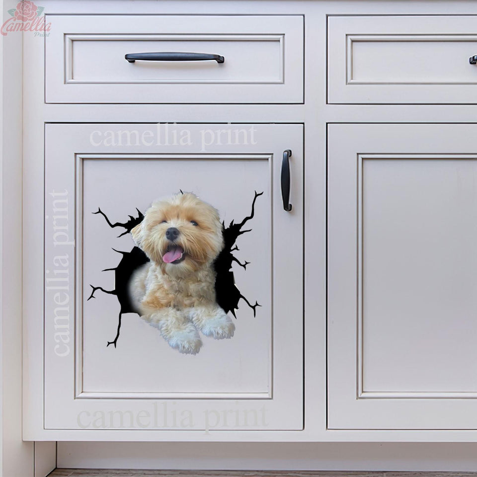 Havanese Crack Decal Sticker Car Pretty Stickers Birthday Gifts For Her