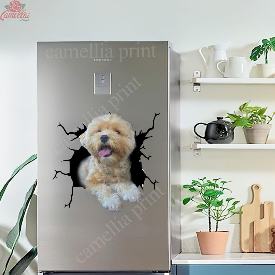 Havanese Crack Decal Sticker Car Pretty Stickers Birthday Gifts For Her