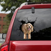 [bh0321-snf-lad]-cocker-spaniel-crack-car-sticker-dogs-lover