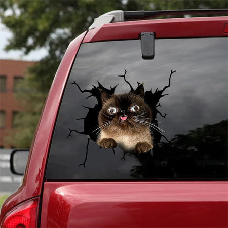[bh0408-snf-tnt]-cat-crack-car-sticker-cats-lover