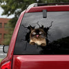 [bh0408-snf-tnt]-cat-crack-car-sticker-cats-lover