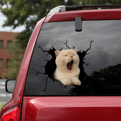 [bh0409-snf-tnt]-cat-crack-car-sticker-cats-lover