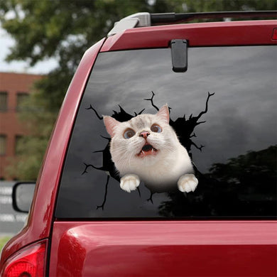 [bh0412-snf-tnt]-cat-crack-car-sticker-cats-lover