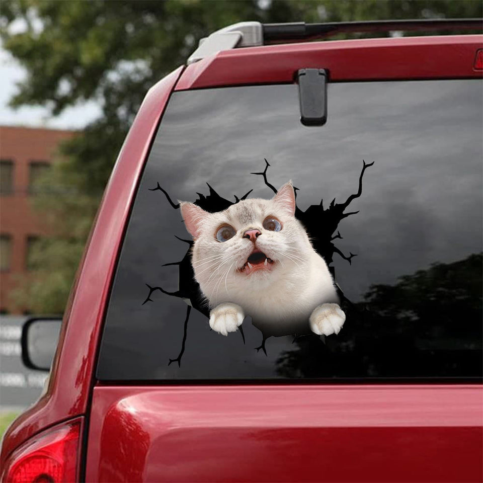 [bh0412-snf-tnt]-cat-crack-car-sticker-cats-lover