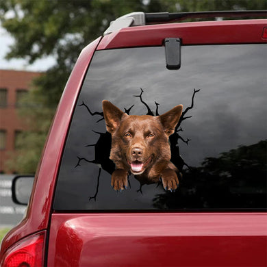 [bh0449-snf-tnt]-australian-kelpie-crack-car-sticker-dogs-lover