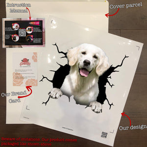 Golden Retriever Crack Decals For Walls Pretty Car Decals Best Gifts 2021