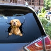 Golden Retriever Crack Decal Items Lovable Custom Sticker Maker Wedding Anniversary Gifts