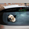 Labrador Crack Dad Decal Be Cute Label Paper Gifts For Hunters