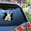 Rabbit Crack Bone Sticker Cute Custom Sticker Sheets Gift Sets