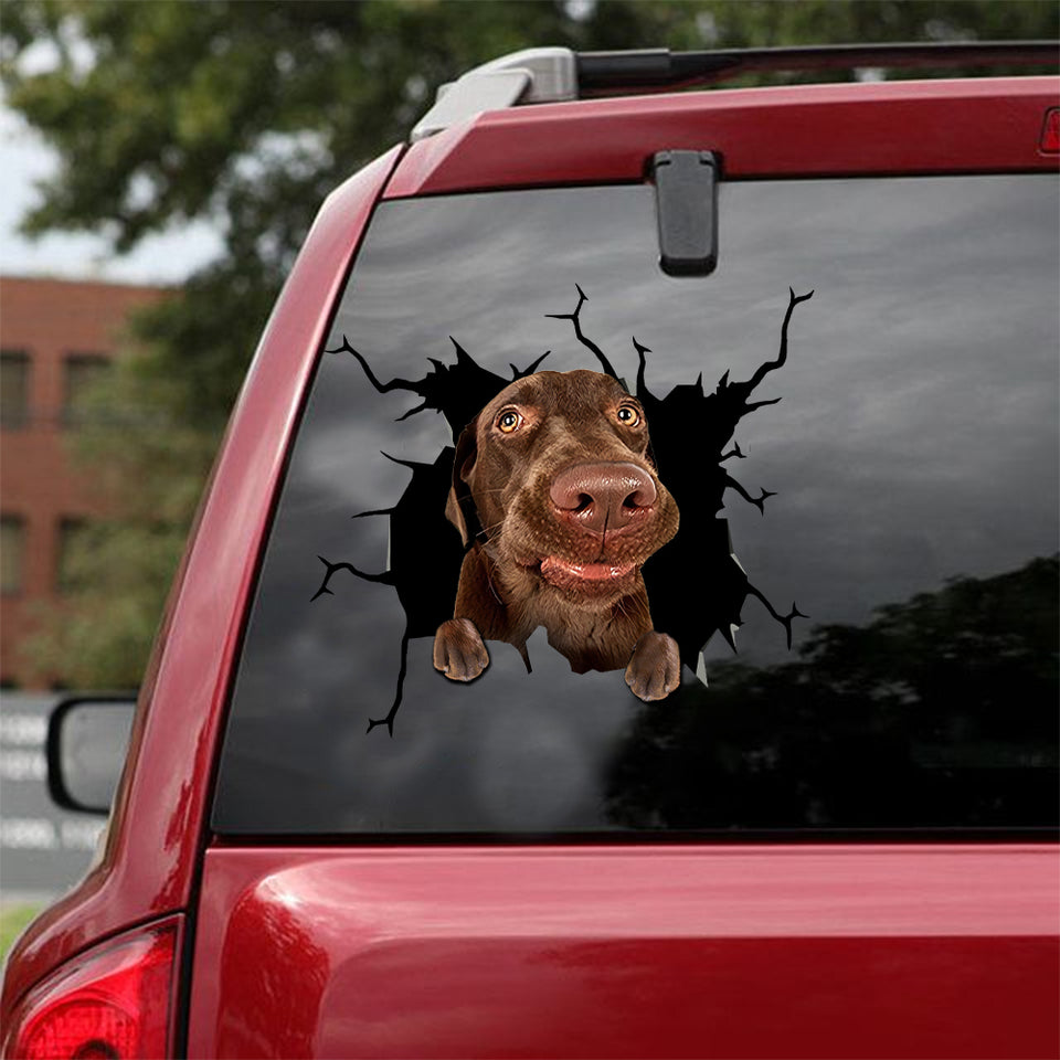 [dt0038-snf-lad]-labrador-retrievers-crack-car-sticker-dogs-lover
