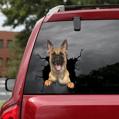 [dt0089-snf-tnt]-belgian-malinois-crack-car-sticker-dogs-lover