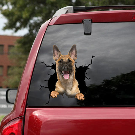 [dt0089-snf-tnt]-belgian-malinois-crack-car-sticker-dogs-lover