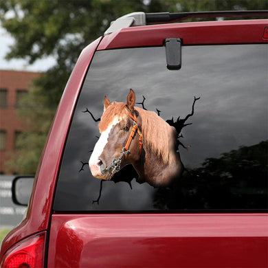 [dt0227-snf-tnt]-breton-horse-crack-car-sticker-animals-lover